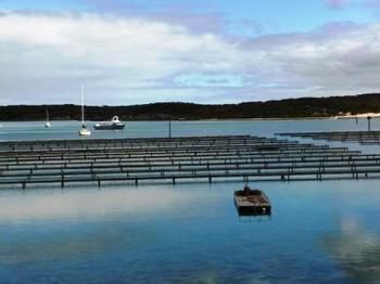 Longbeach Apartments Coffin Bay Екстериор снимка